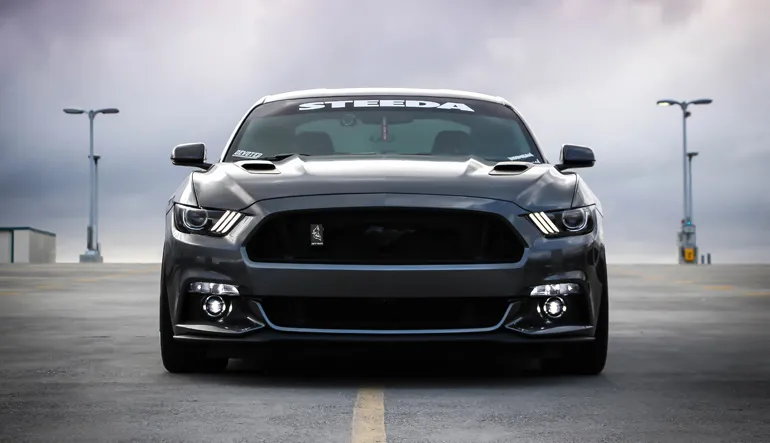 Vinauto Green Limited - Image 2