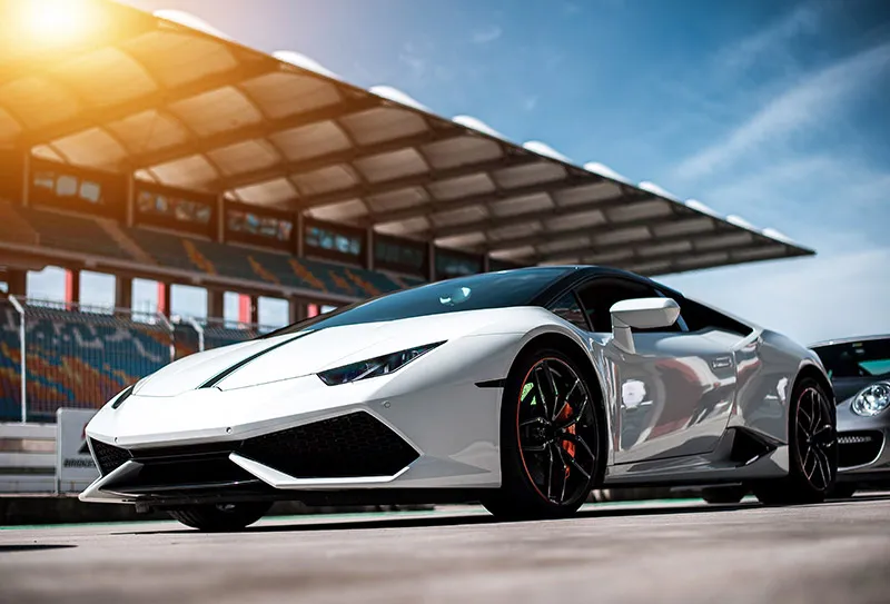 Lambo Yellow Limited - Image 3